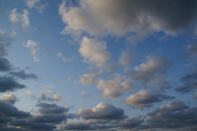 20080210_shimanetrip_021